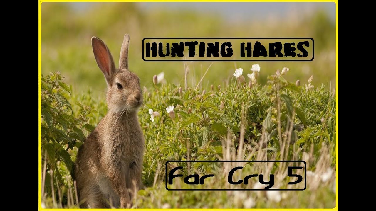 Hare Here Hare there for Far Cry 5