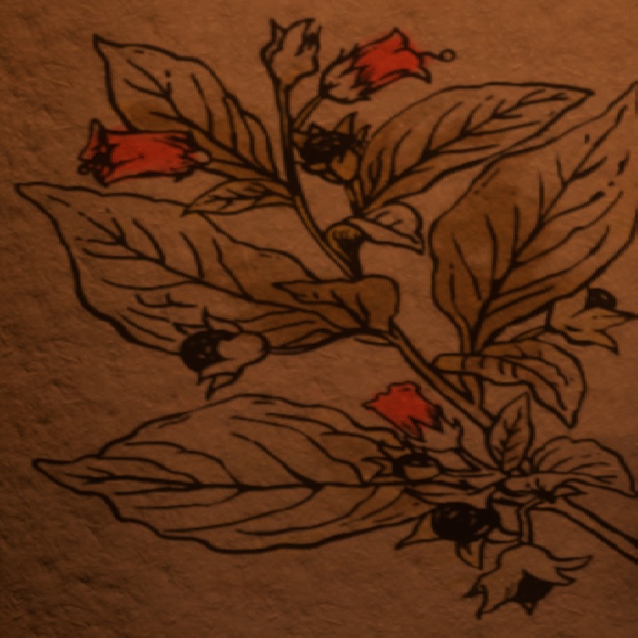 Herbs for alchemy for Kingdom Come: Deliverance