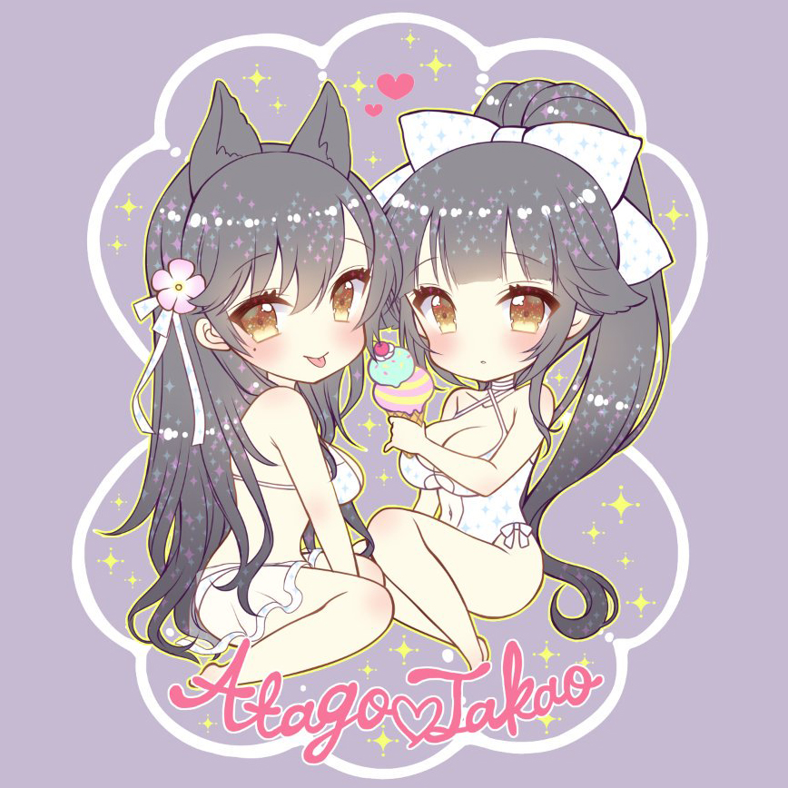 History of Takao and Atago for World of Warships