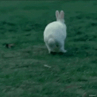 HOW BUNNYHOP IN HFF for Human: Fall Flat