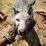 how I got this to work for Far Cry Primal