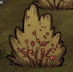 How to be a Pro for Don't Starve