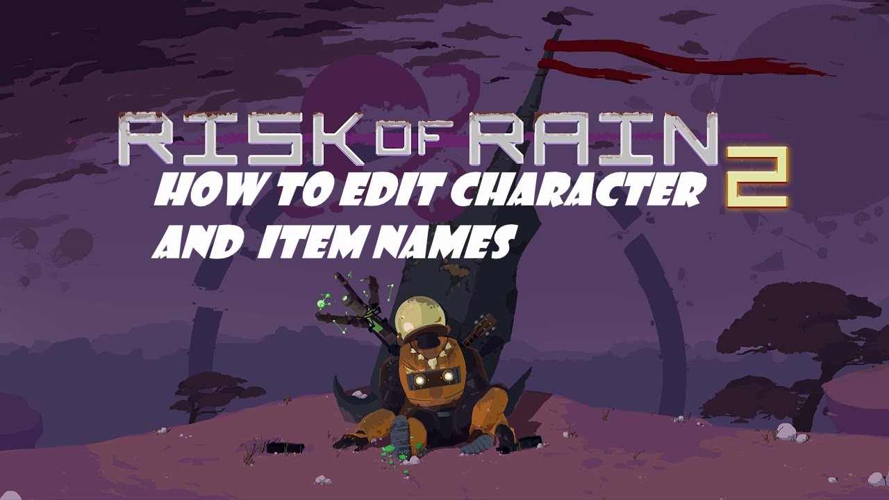 How to change character and item names for Risk of Rain 2