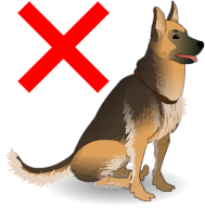 How to complete "New Kinds of Ally" quest with doggo movement bug for Dead Maze