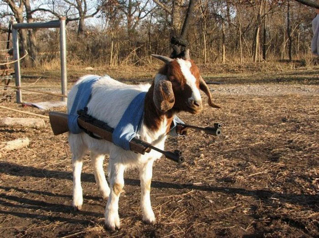 How to Fight a Robot/Alien Thing In a Crate for Goat Simulator