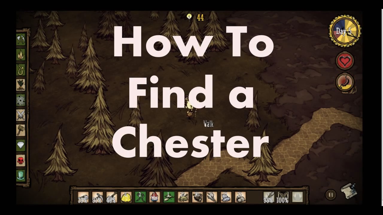 How to find a Chester for Don't Starve