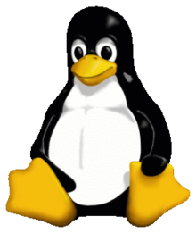 How to fix mousewheel jumping on linux for Half-Life