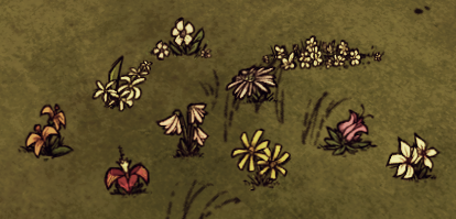 How to have flowers where you want [ENGLISH/ITALIAN Guide] for Don't Starve