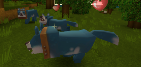 How to keep a dog for Mini World: Block Art