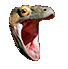 How to kill any boss in calamity called Supreme calamitas for tModLoader