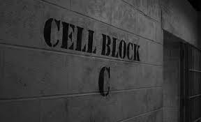 How to make a 20 person Cell Block for Prison Architect