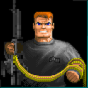 how to make wolfenstein 3D look and run good for Wolfenstein 3D