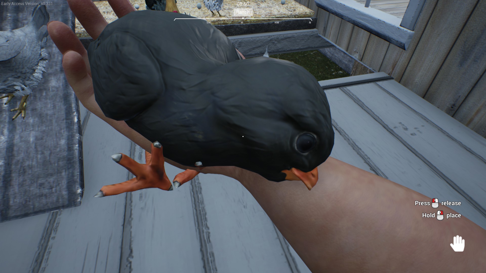 How to pick up a chick! for Ranch Simulator