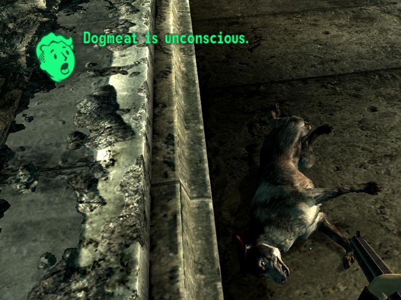 How to revive dogmeat/ Como revivir a albondiga for Fallout 3