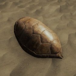 How to use a turtle shell as a sled for The Forest