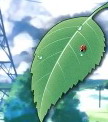 HOW TO WIN! V 1.3 for Everlasting Summer