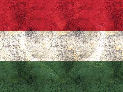 Hungarian Army for Men of War: Assault Squad 2