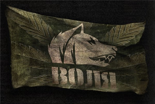for S.T.A.L.K.E.R.: Call of Pripyat