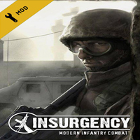 Insurgency: Modern Infantry Combat - correct decoration for Steam for Insurgency: Modern Infantry Combat