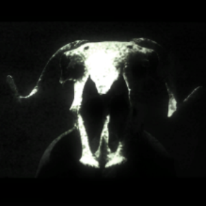 Interactive Horror Stories 100% achievement guide for Interactive Horror Stories