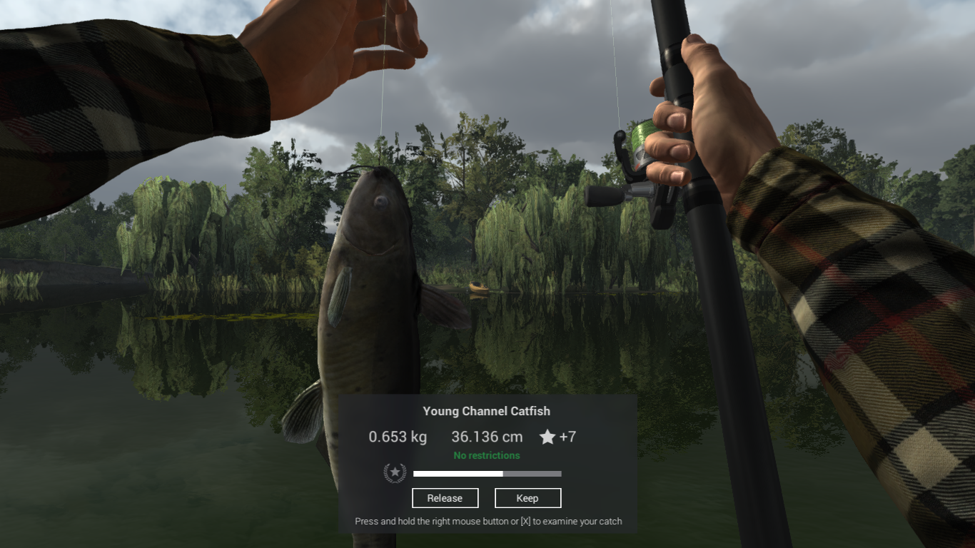 Jak rychle získat CATFISH a BULLHEAD???? for Fishing Planet