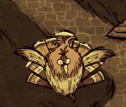 Jak zabić Gobblera i dlaczego powinieneś to robić for Don't Starve