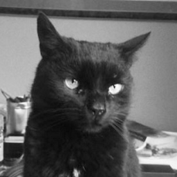 [JP]実績解除しよう！　Estranged Act 1編 for Estranged: Act I