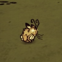 Killing Rabits Without Carrots for Don't Starve