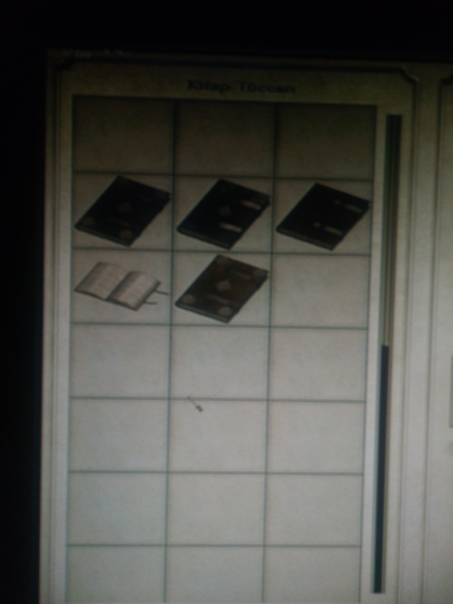 Kitap rehberi / book guide for Mount & Blade: With Fire and Sword
