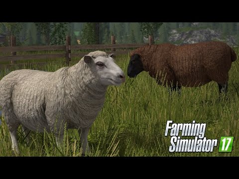 Küçük Baş Hayvan Bakımı (Koyun) for Farming Simulator 17