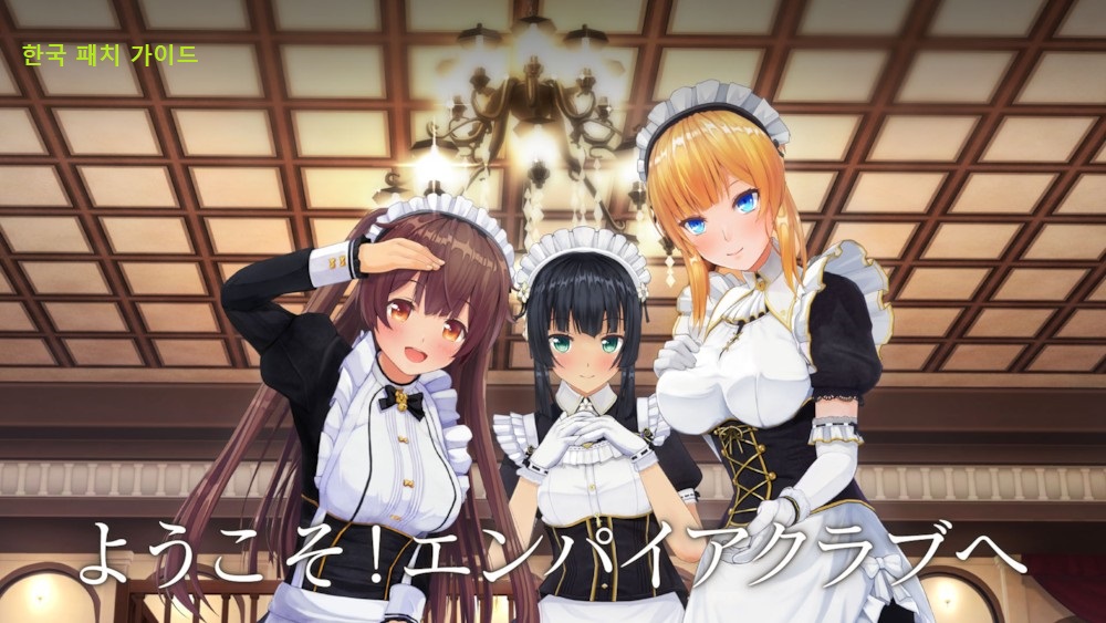 Korea Patch Guide, 한국 패치 가이드 for CUSTOM ORDER MAID 3D2 It's a Night Magic