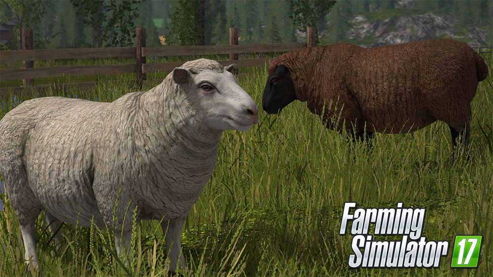 Koyun Yetiştiriciliğinden Büyük Paralar Kazanmak // Making Money from Sheeps for Farming Simulator 17