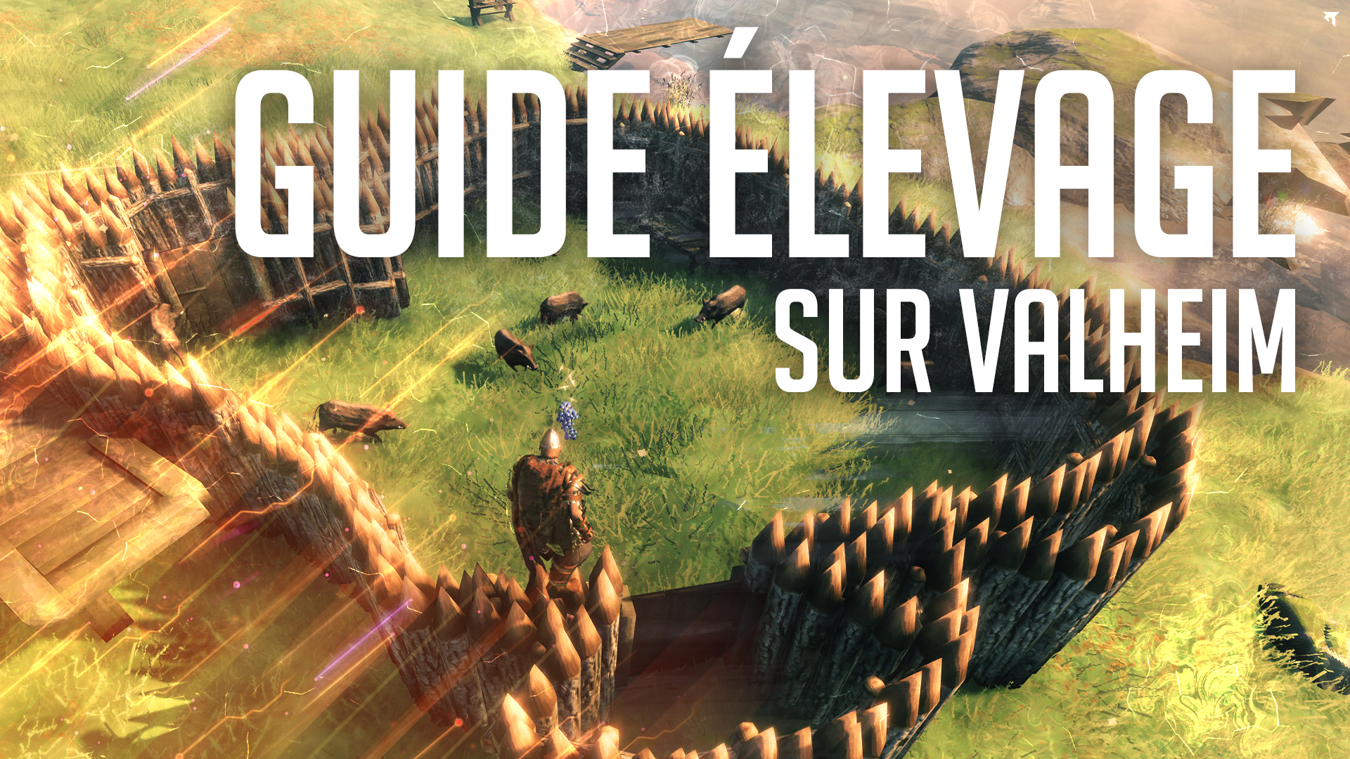 L'ÉLEVAGE dans VALHEIM - GUIDE VALHEIM for Valheim