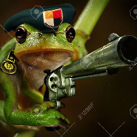 legendary frog achievement guide for Frog Fighters