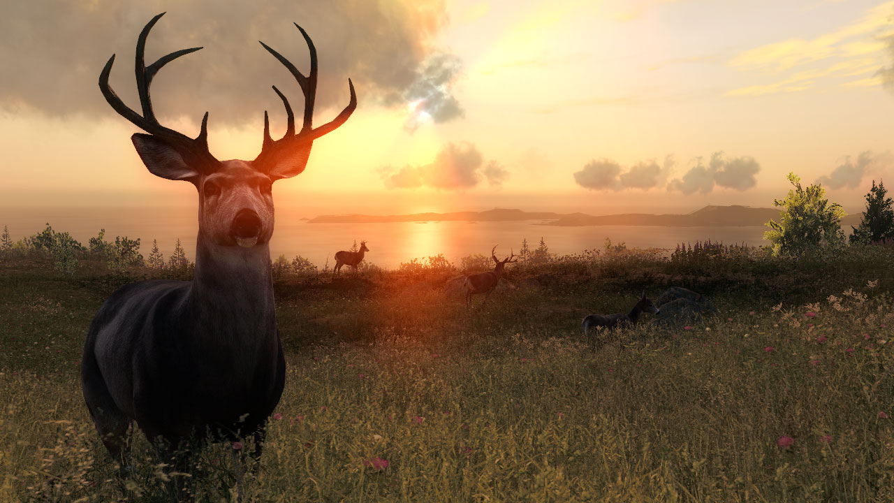 Loggers Point In-Depth Guide for theHunter Classic