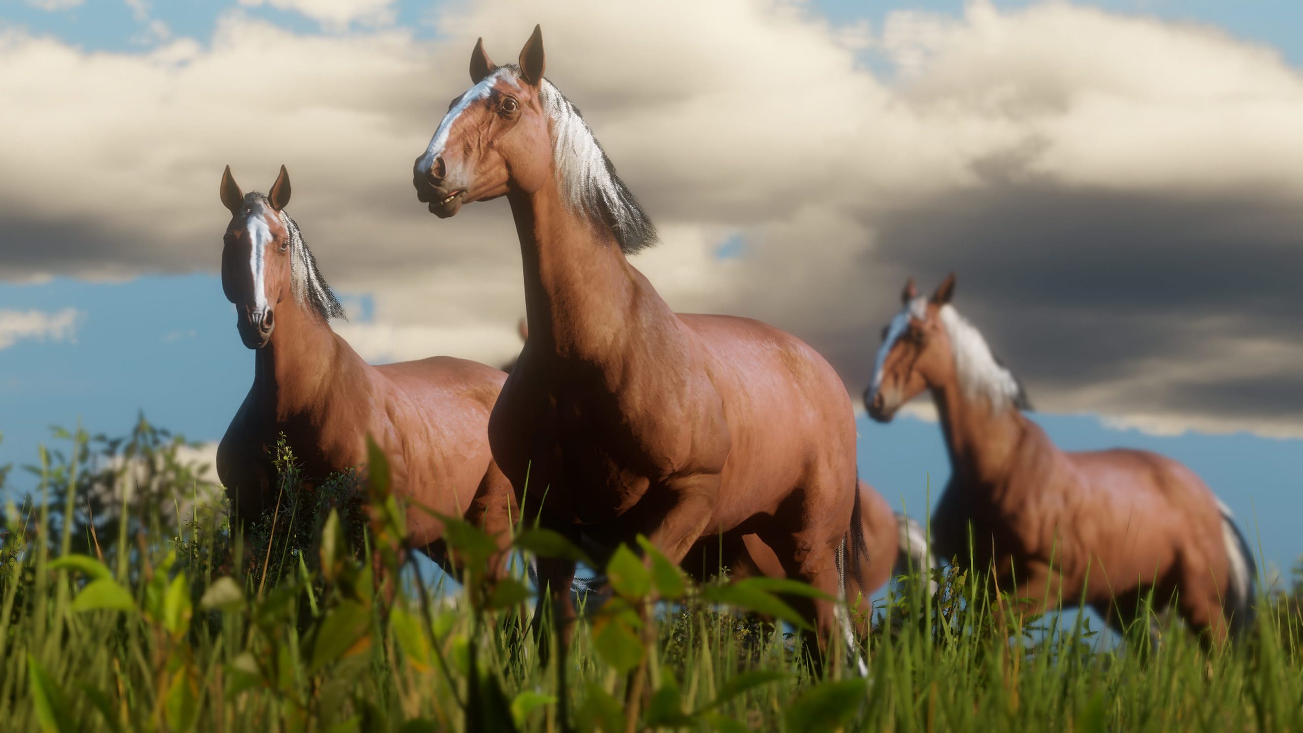 Make room in your stable. How??? for Red Dead Redemption 2