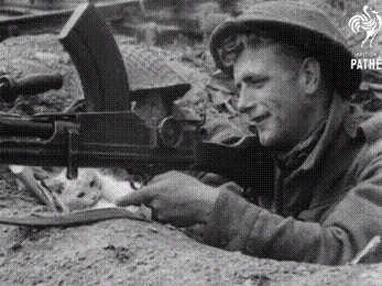 me and my little boi for Hearts of Iron IV