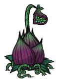 Meat Bulbs Tips and Tricks for Don't Starve