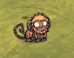 Monkeys (Prime Apes) in Shipwrecked for Don't Starve