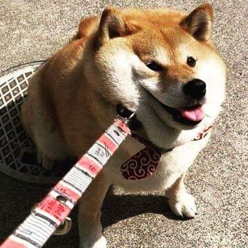 Montaro : RE 100% achievement guide for Montaro : RE