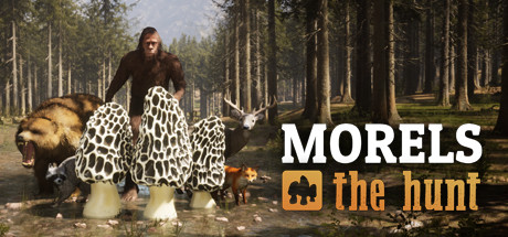 Morels: The Hunt