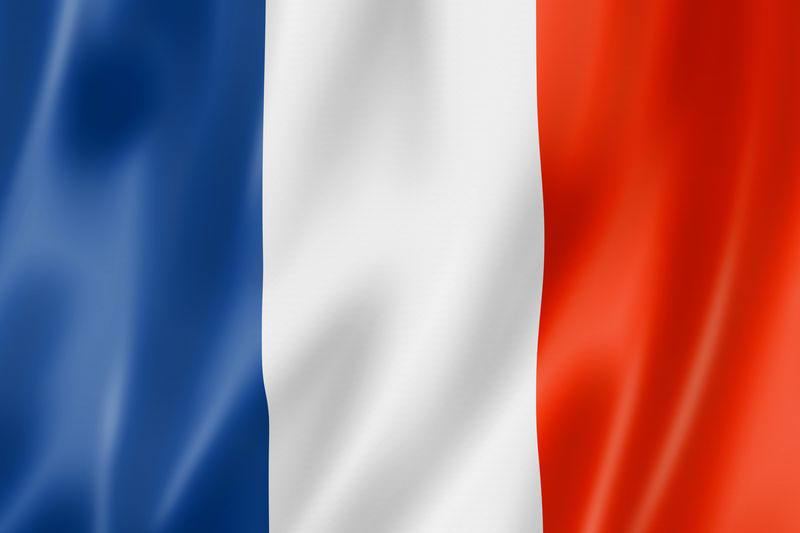 MSC FR Communauté for My Summer Car