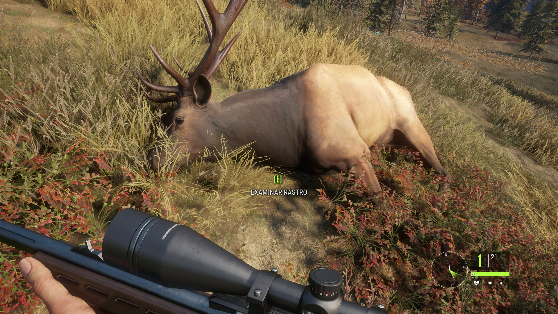 Método guardamontes for theHunter: Call of the Wild™