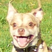 Multiplayer Sync: A Brief Introduction to combating against McDonald's Wifi for Quake Champions