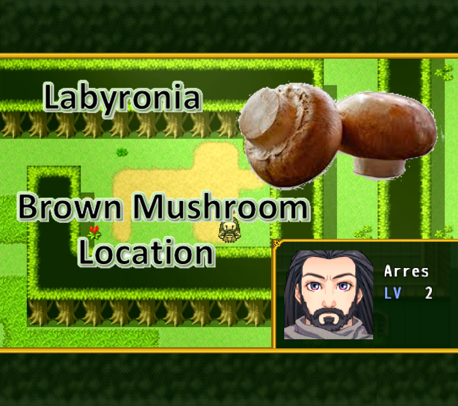 Mushroom Location for Labyronia RPG