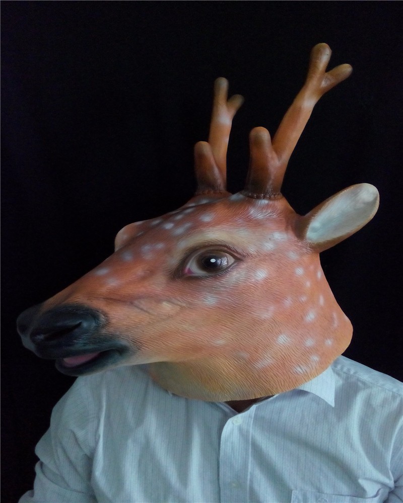 My Deer Experience for The Deer