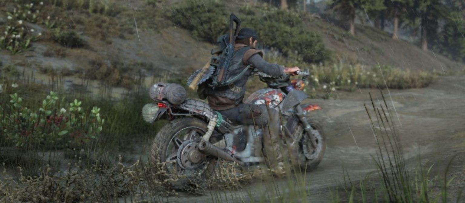 Days gone steam id фото 66