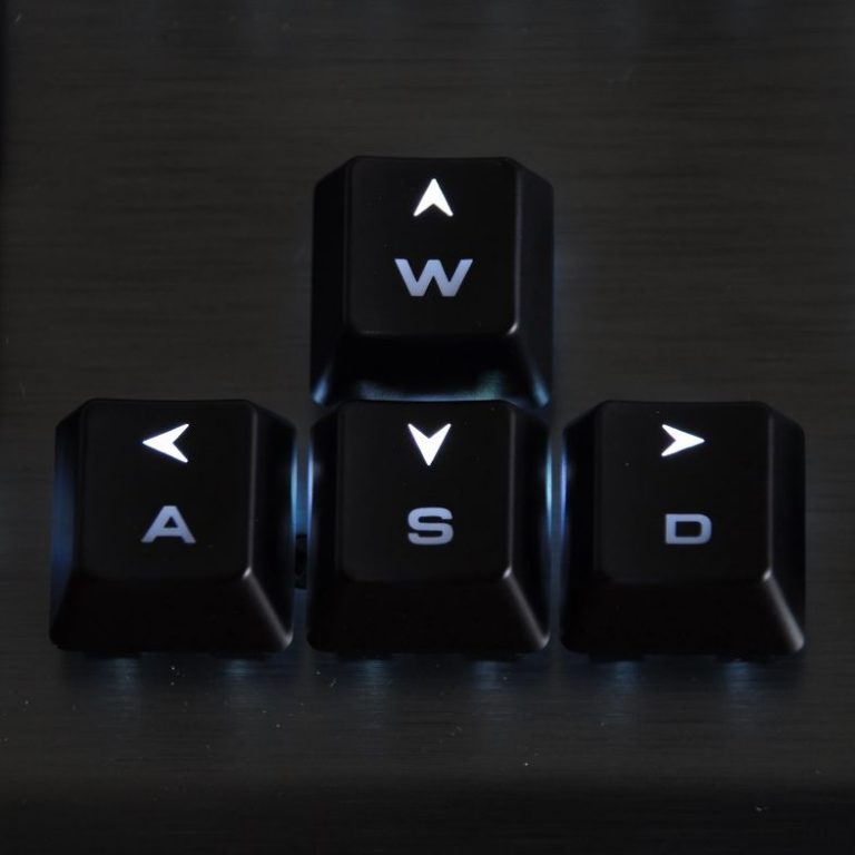 Wasd чей проект