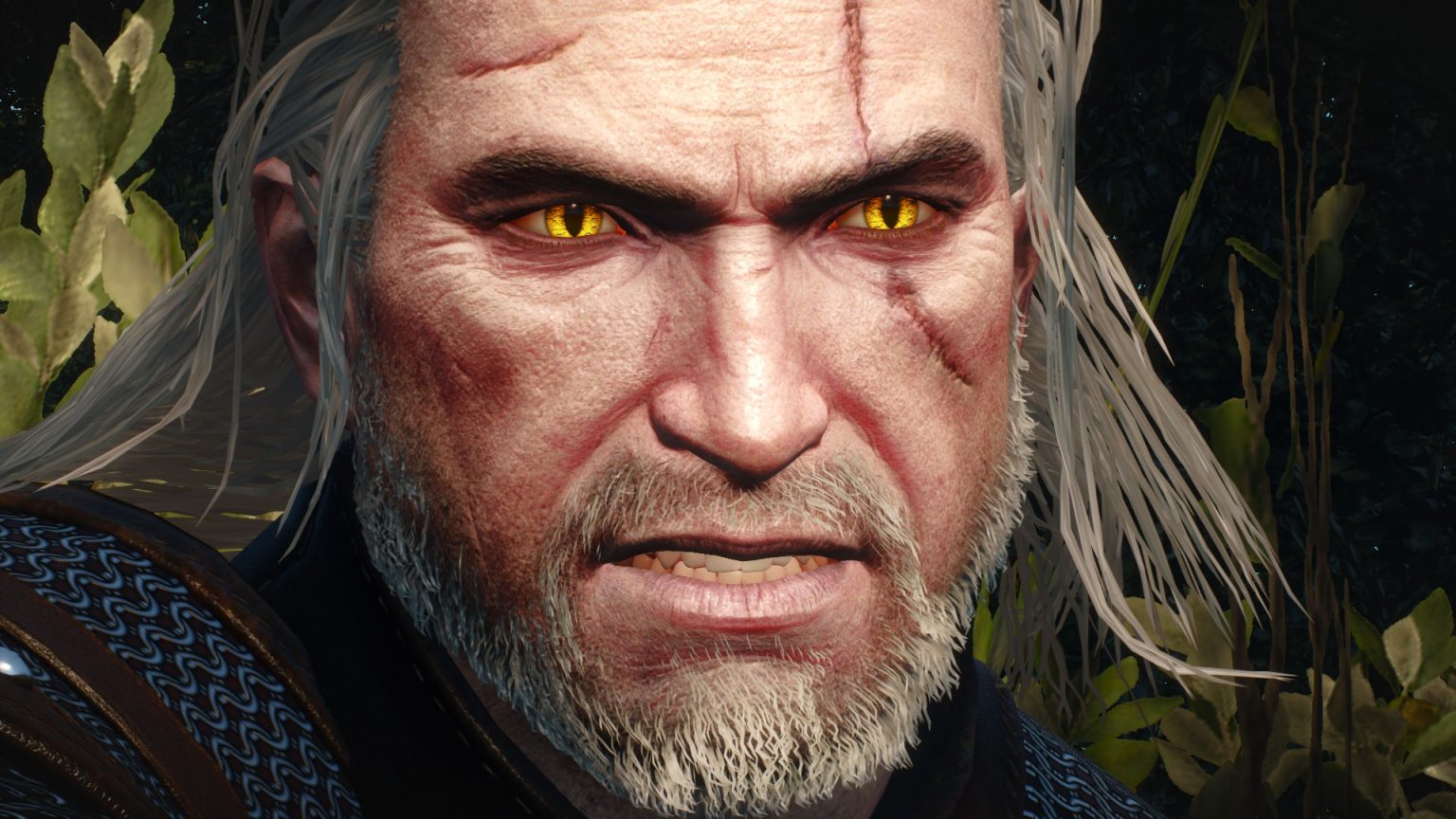 The witcher 3 geralt on steroids фото 86