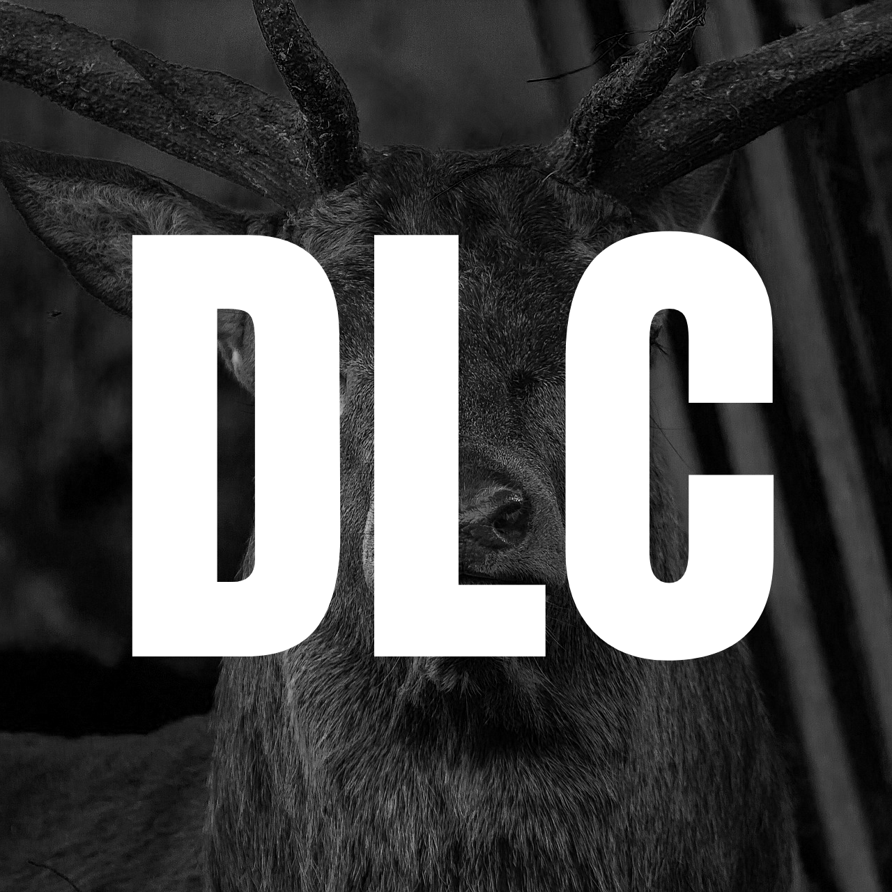 new buyers guide trough the DLC. for theHunter: Call of the Wild™